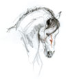 Horse head logo