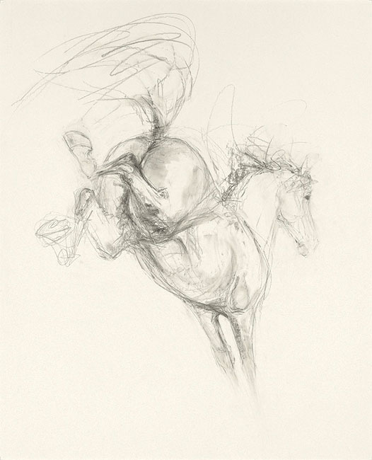 Bucking (2009)