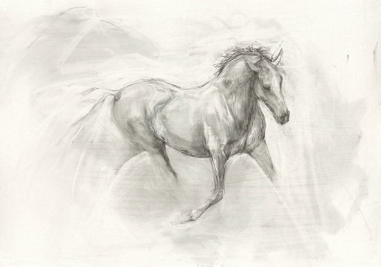 Carisimo (2007)