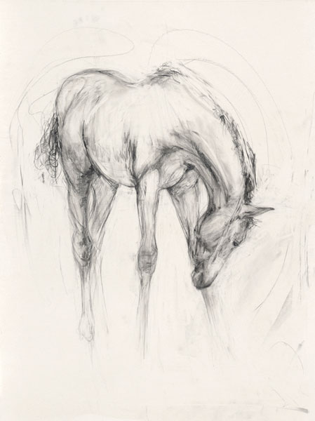 Foal (Portrait) (2008)
