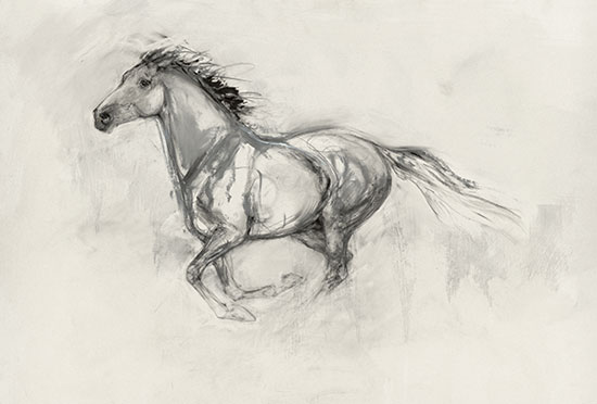Galloping (2005)