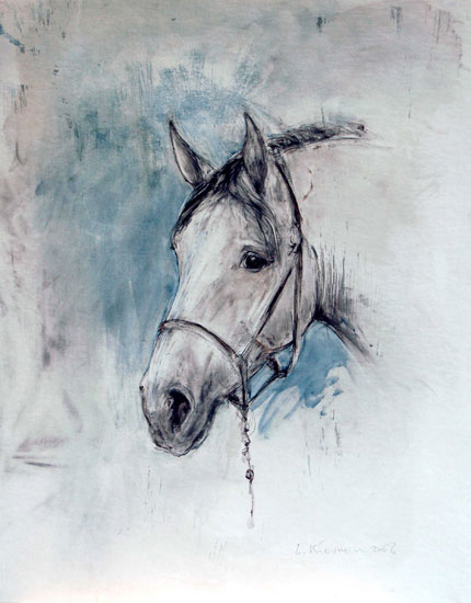 Head with Halter