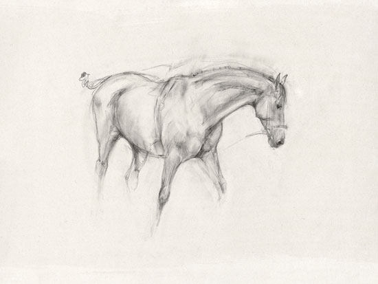 Learning (2007)