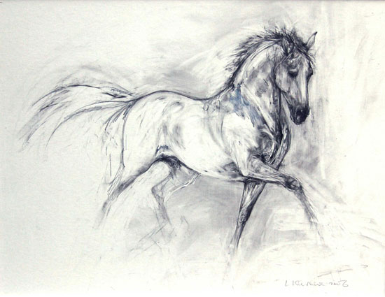 Proud Stallion