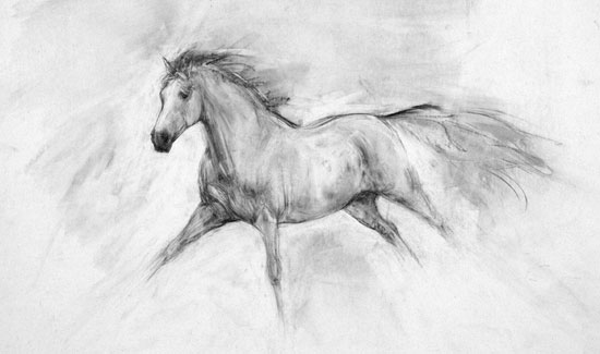 Small Study VI (2008)
