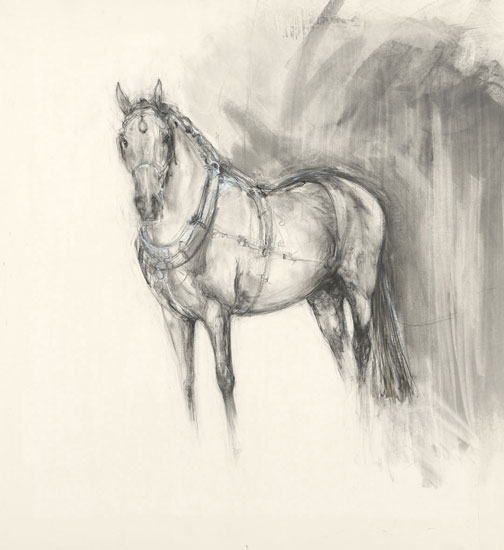 Spanish Carriage Horse - Front View (2005)