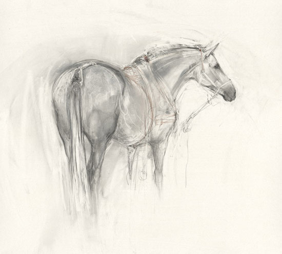 Spanish Carriage Horse - Rear View