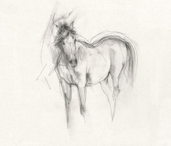 Yearling (2007)
