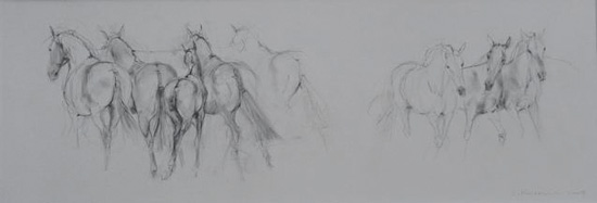 Cobra Front and Back (2009)