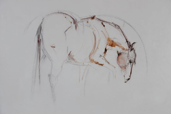 Drawing Lines In Jcanvas : Line drawing on canvas original equestrian art for sale