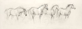 4 Horses Y (2007)