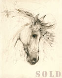 Andalusian Head (2005)