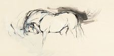Big Ink Drawing (2011)