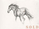 Caballo