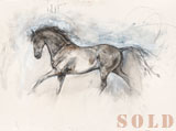 Equus (2008)