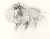 Sepia Drawing
