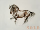 Small brown Sketch (2008)