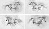 Small Studies x 4