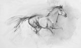 Small Study II