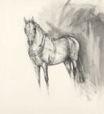 Spanish Carriage Horse - Front View (2005)