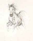 Study in Movement I (2011)