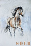 Bay Trotting Forward