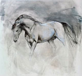 Grey Stallion