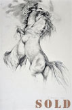 Horses Fighting