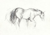Small Drawing 11