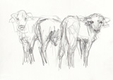 Small Drawing 12