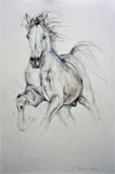 Study in Movement I