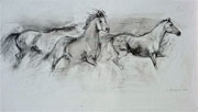 Three Horses in a Row
