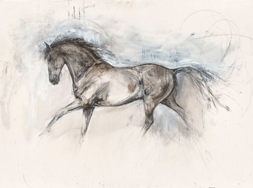 Equus (2009)