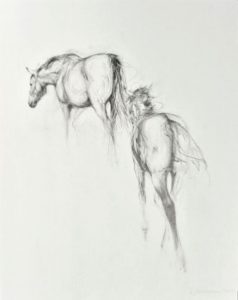 Mare And Foal Walking Away (2013)