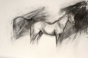 Charcoal Study