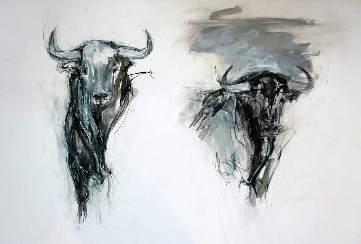 2 Bulls with Ink no 2