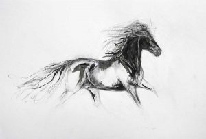 Friesian I