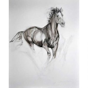 Galloping Horse - canvas