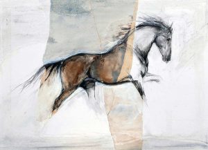 Single Horse Collage