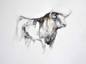 Small Bull Drawing
