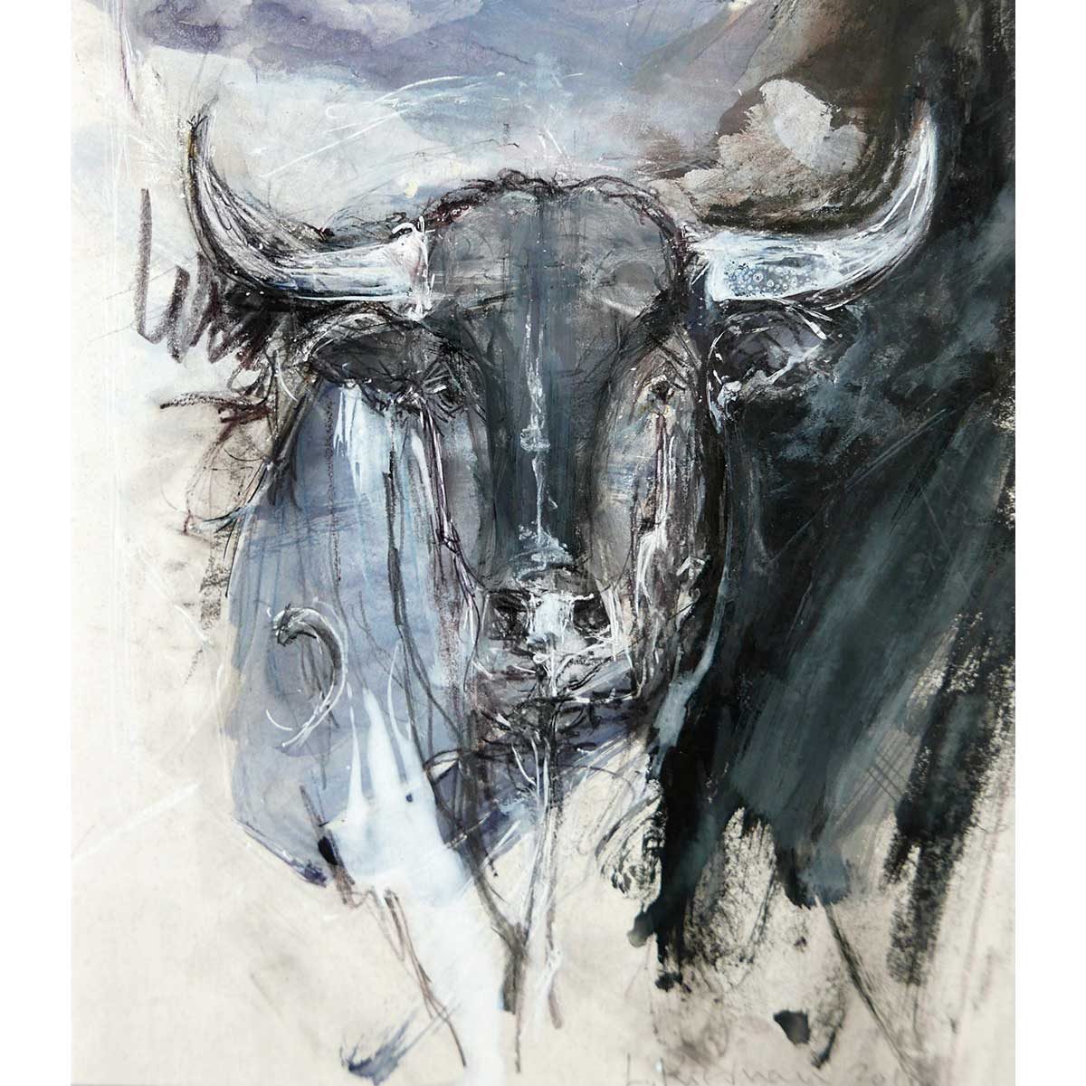 Small Bull Picture