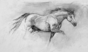 Small Study VII