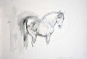 Spanish Horse – Sketch