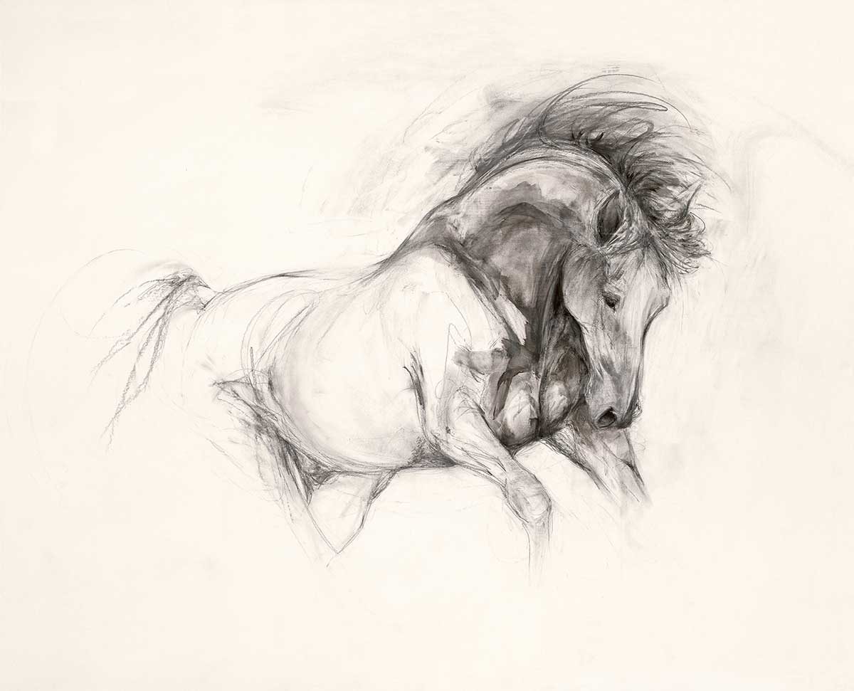 Graphite Study II