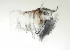 Very Big Brown Bull