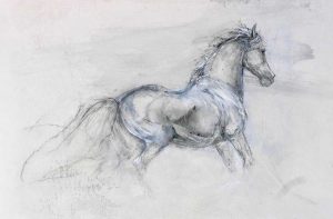 Single Horse II