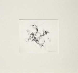 Bucking mounted print