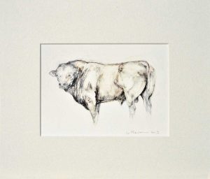 English Bull mounted print