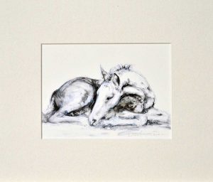 Lying Foal mounted print