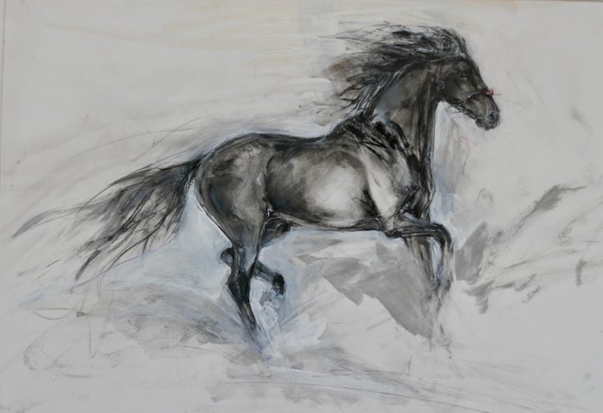 Friesian